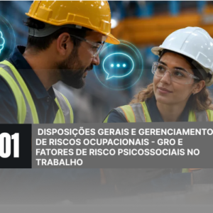 NR 1 - DISPOSIÇÕES GERAIS E GERENCIAMENTOS DE RISCOS OCUPACIONAIS - GRO E  FATORES DE RISCO PSICOSSOCIAIS NO TRABALHO